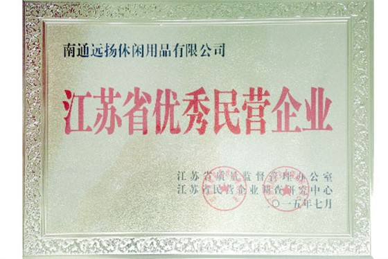 優(yōu)秀民營企業(yè)-遠揚