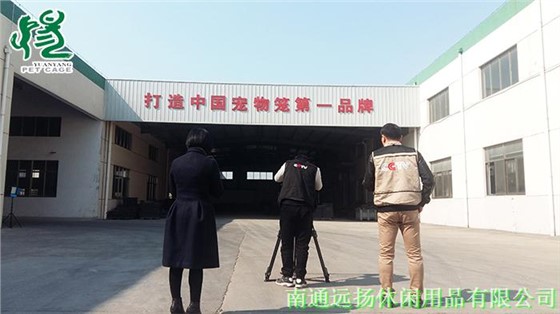 狗籠子批發價格