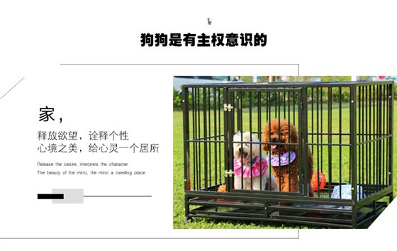 大型狗籠子廠家